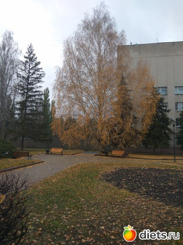 21 ����: ��������� ������� � ������