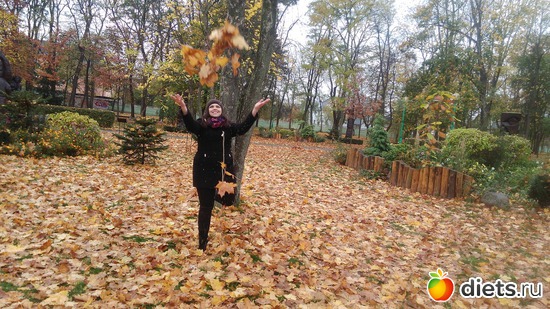 1 ����: �����