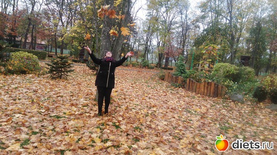 3 ����: �����