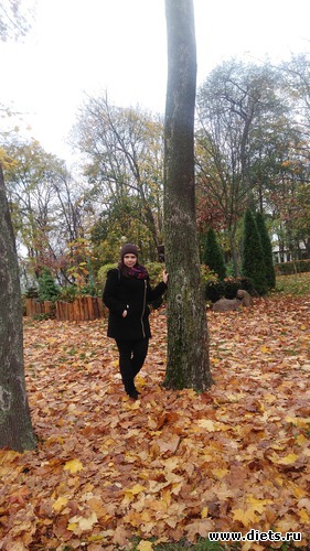 5 ����: �����