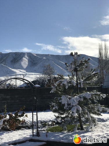 ��� ��� �������, ������: ��� ��� �������