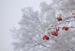 Отчет за первую неделю