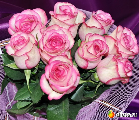 розы, альбом: Цветы Батайска