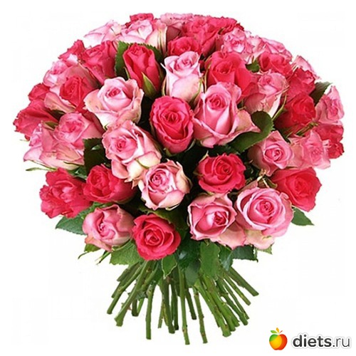 розы, альбом: Цветы Батайска