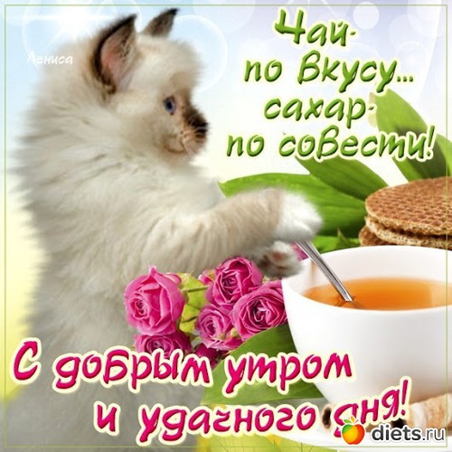 с добрым утром, альбом: Цветы Батайска