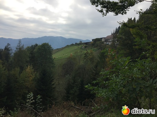 ����������� �����, ������� �� ������� ���..., ������: � ����� �����...