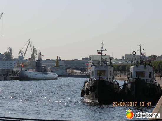 5 ����: ����� 2017 ����������/ ����������/ �����. ����.������