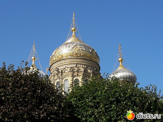 7 ����: ����� 2017 ����������/ ����������/ �����. ����.������