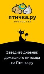 Птичка.ру ждет всех любителей домашних животных!