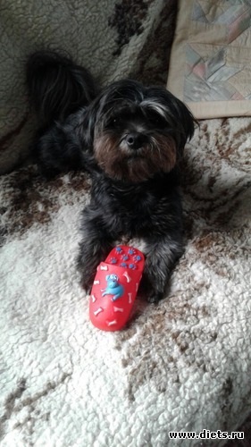 3 ����: ��� �����