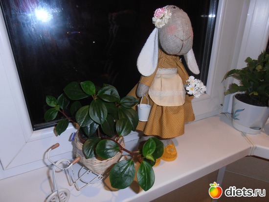 9 ����: � ����� � �����.