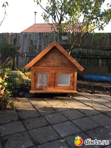 27 фото: цветы