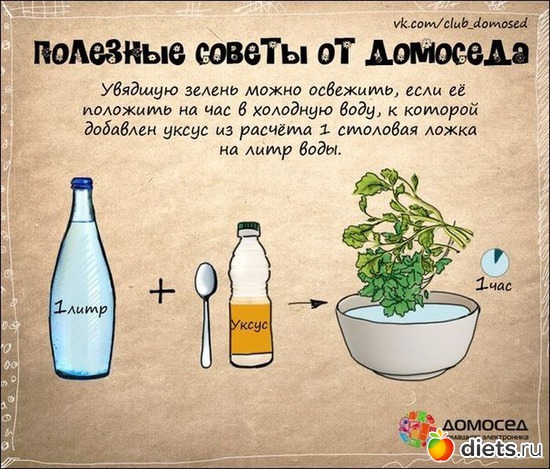 ������, ������: ���������� � ���������