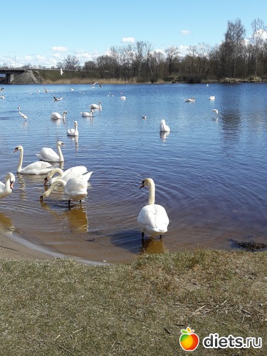 24 ����: ��� ������� �����!!!