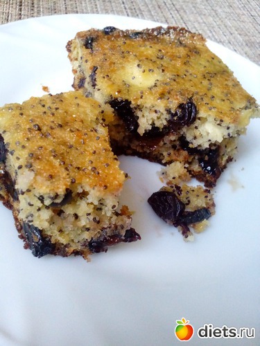 99 ����: ��������