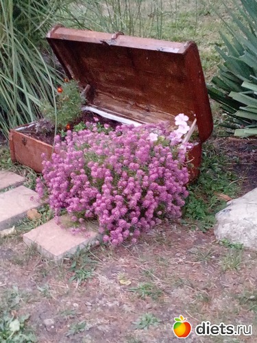 100 ����: ��������