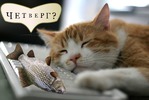 Четверг рыбный день, скумбрия запеченная.