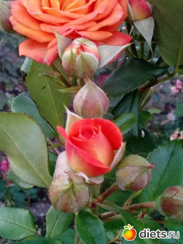 103 ����: ��������