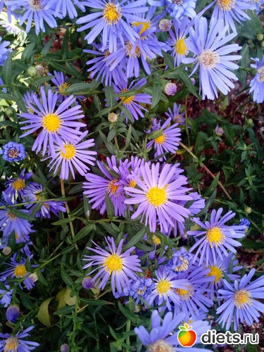 104 ����: ��������