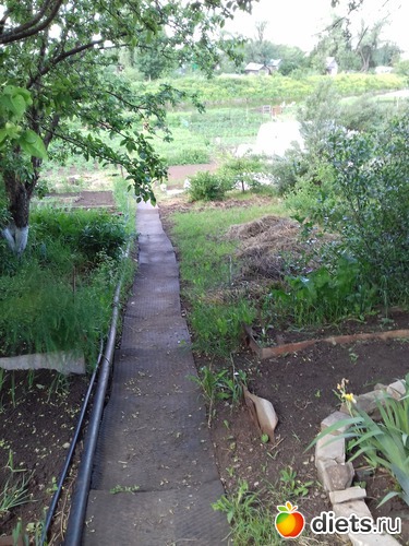 ������ ��� ��������� ����, ������: ��� ����,��� ��������