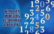 Магия чисел