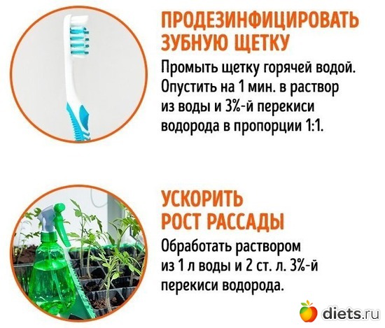 5 ����: ���������