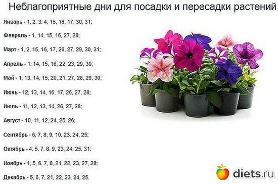 9 ����: ���������