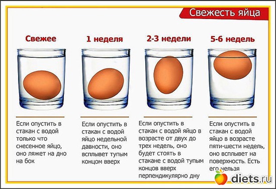 10 ����: ���������