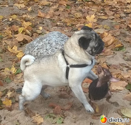 8 ����: ������