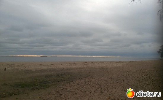 9 ����: ������