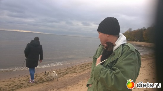 11 ����: ������