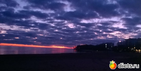 14 ����: ������