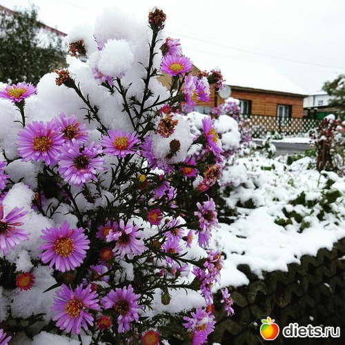 60 ����: ������� ����!!!