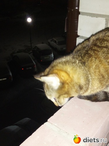 7 ����: ������� ����!!!