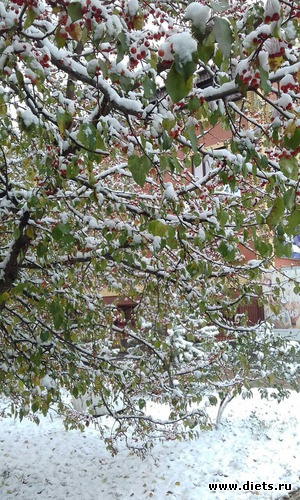 10 ����: ������� ����!!!