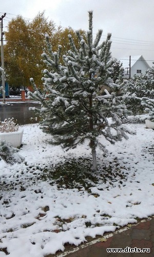 11 ����: ������� ����!!!