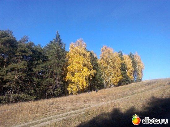 24 ����: ������� ����!!!