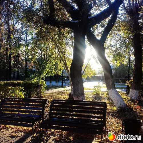 31 ����: ������� ����!!!