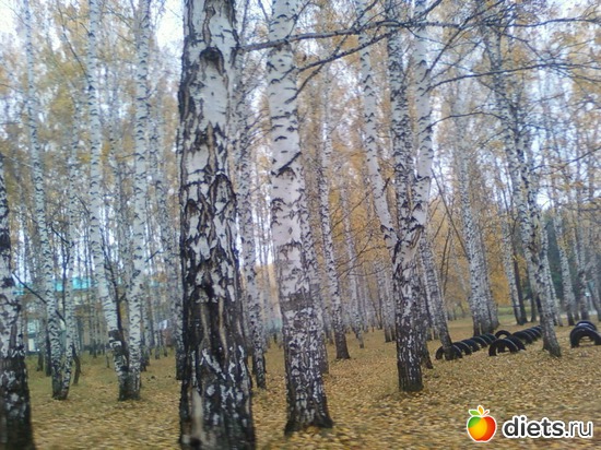 35 ����: ������� ����!!!