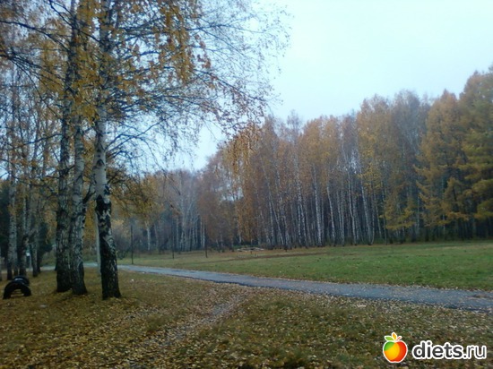 36 ����: ������� ����!!!