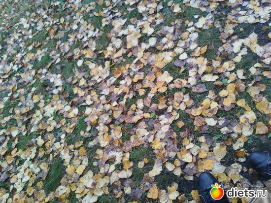 38 ����: ������� ����!!!