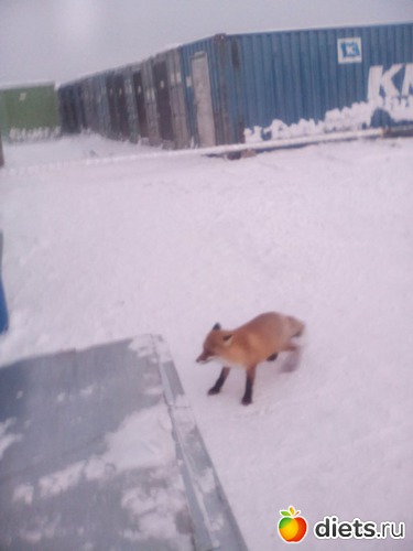 42 ����: ������� ����!!!