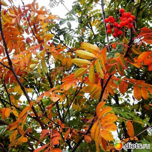 45 ����: ������� ����!!!