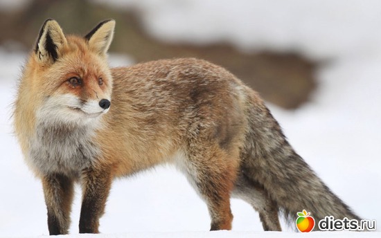 44 фото: То, что я люблю