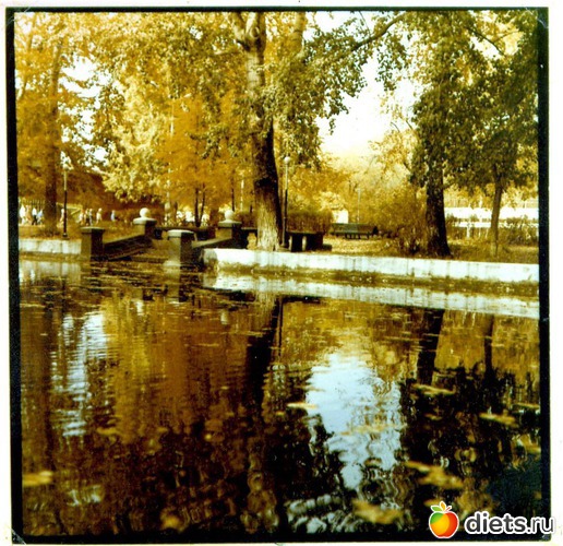 66 ����: ������� ����!!!