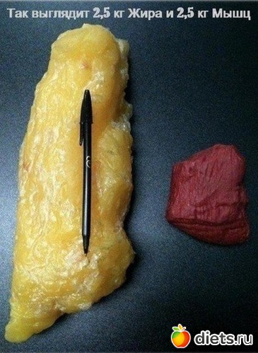 5 ����: ��������