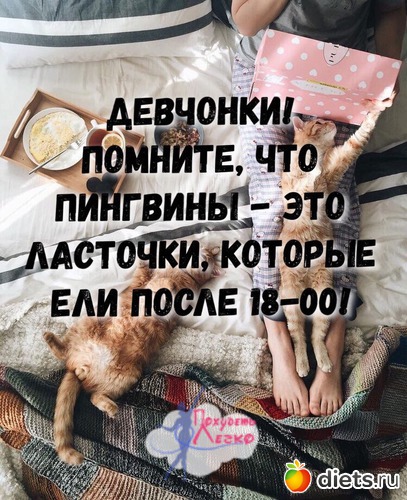 3 ����: �������