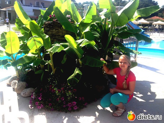 16 ����: ������ � ������ ���� 2017�