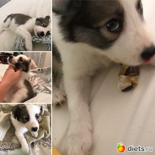 1 ����: ����