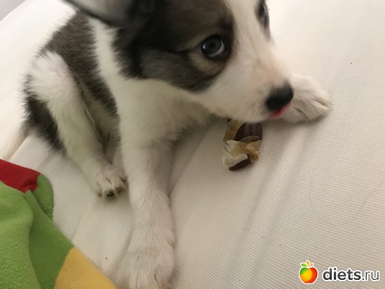 2 ����: ����